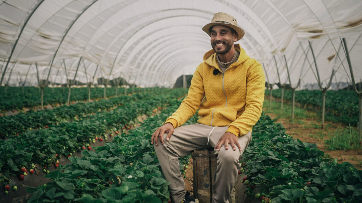 Moroccan strawberry demand boosted by year-end festivities